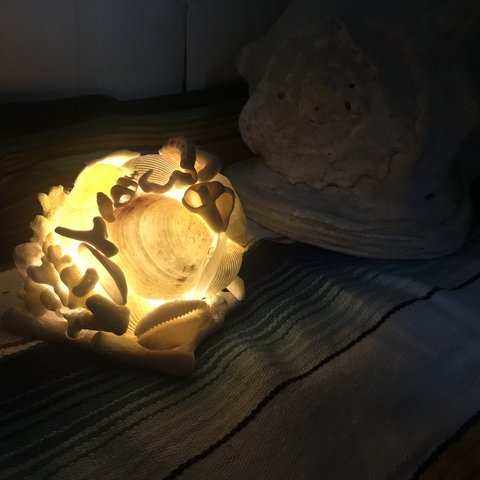 沖縄：海からの贈り物 シェルランプ(海底)