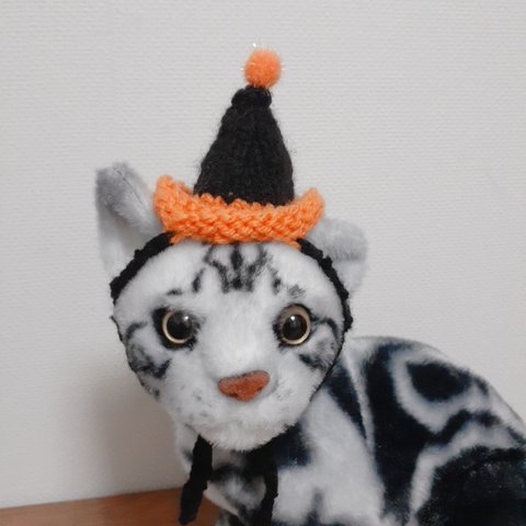 猫の帽子　ハロウィン　魔女