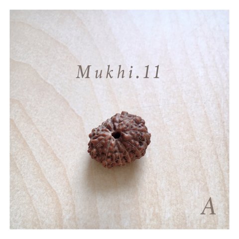 [A] Mukhi《１１面・菩提樹の実 》自信・勇気をもたらす「粒売り」ルドラクシャ ビーズ コレクション