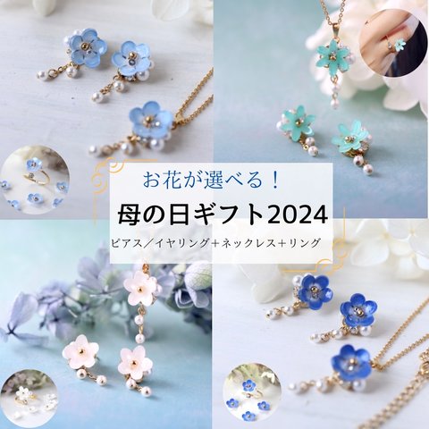 《母の日2024》ジュネ大人気！ひと粒セット（4つのお花から選べる）　ギフトラッピング無料‼︎