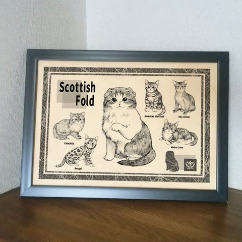スコティッシュフォールドの子猫のポスター