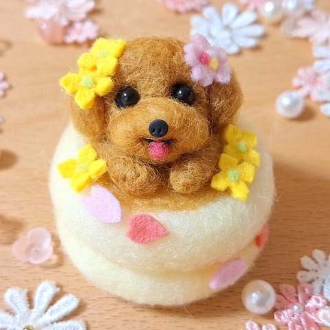 春のパンケーキ トイプードル ♬*° 羊毛フェルト ぬいぐるみ 桜 犬 ミニチュア 