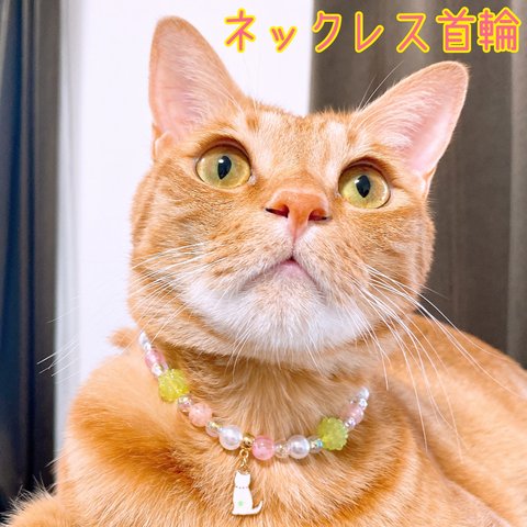 猫の首輪🐈金平糖カラフルビーズ✨ネックレス首輪♡猫のチャーム🐱