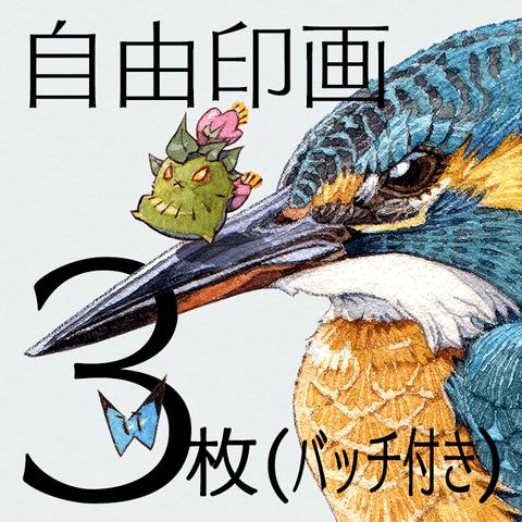 自由印画(缶バッチ1個/孝夫印画3枚/栞1枚/ポストカード1セット/TAKAO★CARD1枚)送料込み