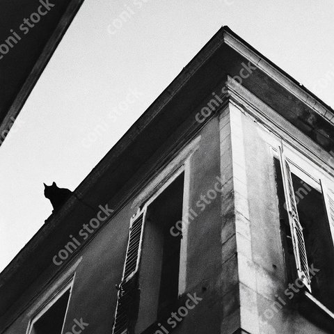パリの屋根に黒猫、レトロ、モノクロ、アート、古びた写真　conistock_84249