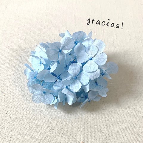 Gracias! あじさい・パウダーブルー【 プリザーブドフラワー】グラシアスあじさい〈アジサイ　紫陽花〉