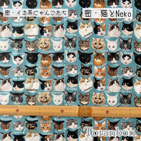 【商用利用可】密猫＆イカ耳のカットクロスセット　50㎝×50㎝の2枚セット
