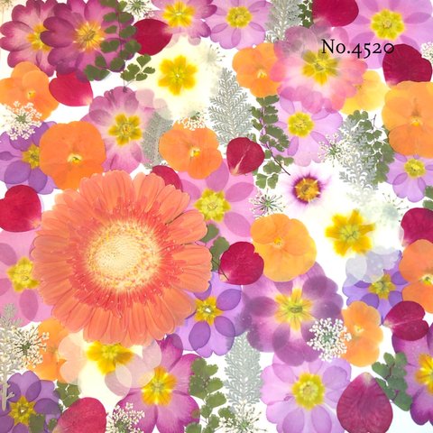 ♡new♡作家様必見♡押し花MIXセット♡押し花セット