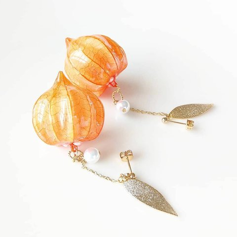 【受注製作】Ground Cherry Lanthanum. 本物のお花　ほおずきとパールの揺れピアス/イヤリング　 プリザーブドフラワー　鬼灯/ほうずき/実/リーフ