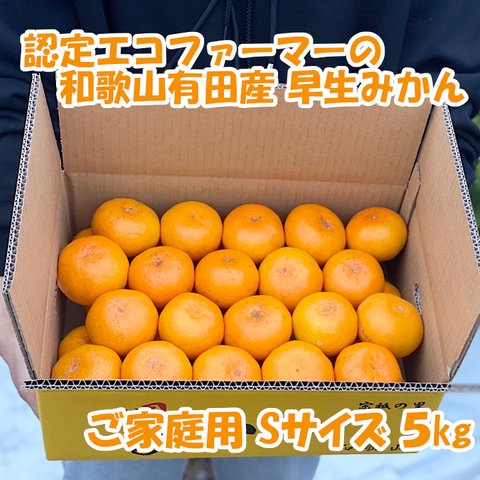 【ご家庭用・Ｓサイズ】和歌山有田産！早生みかん≪5㎏≫★11月下旬～順次発送