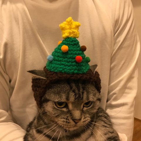 再販！猫用帽子 クリスマスツリー