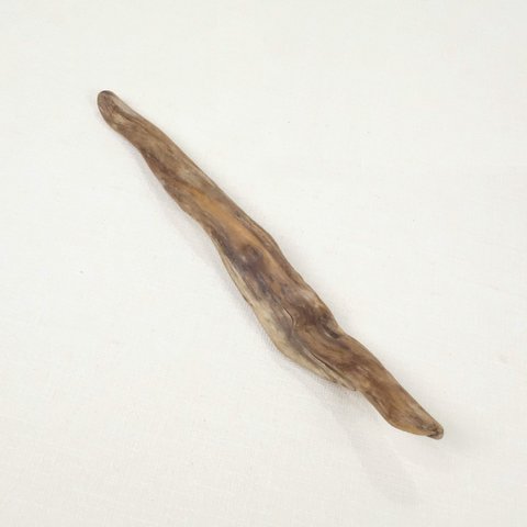 【温泉流木】薄くカーブするひとすくいの変形流木 流木素材 インテリア素材 木材