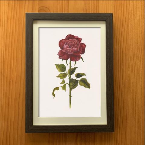 アートポスター【レトロな薔薇　03】A4サイズ複製画