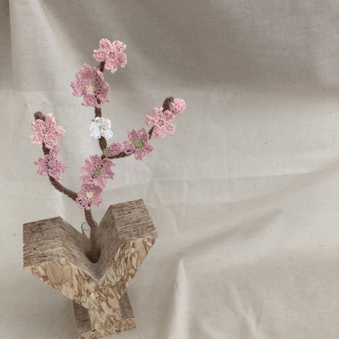 桜一輪