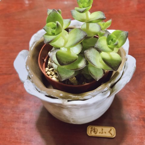 植木鉢「　花　」