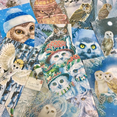 (再販×4)❄️クリスマスの梟🦉ポストカードセット＊葉書＊コラージュ素材＊メッセージカードにも♪