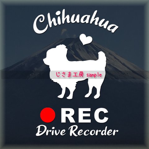 わんちゃんのかわいいドラレコステッカー　『DRIVE　RECORDER』