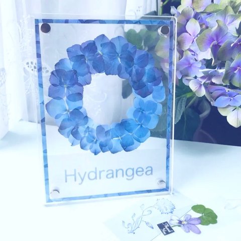 紫陽花リースのアクリルフレーム