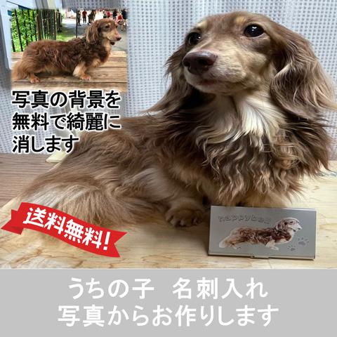 うちの子 名刺入れ 犬 猫 かわいい 写真で作ります | オーダー アルミ  素材