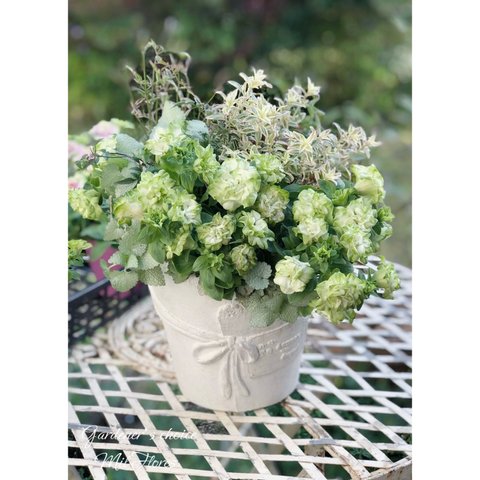 [J様お取り置き品］Verde bouquet 湘南ヴェルデ・ラテの寄せ植え