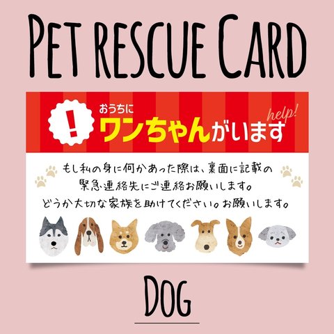 ペット救済カード