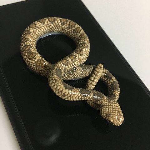 iPhone 7 8 蛇 ヘビ 爬虫類 スマホケース 男