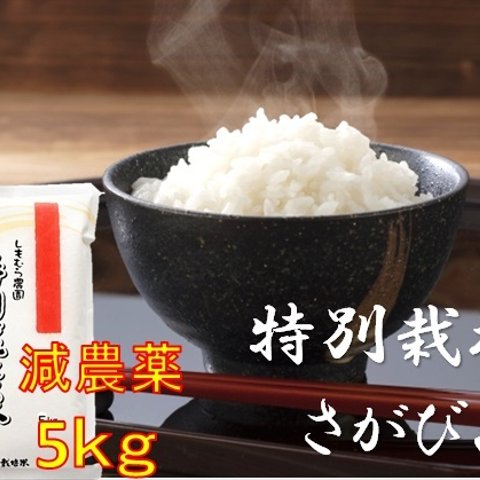 もっちりつやつや特別栽培米5kg　【減農薬米】佐賀県産さがびより