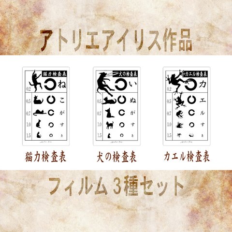 しおり ☆視力検査3種セット☆ 防水フィルム