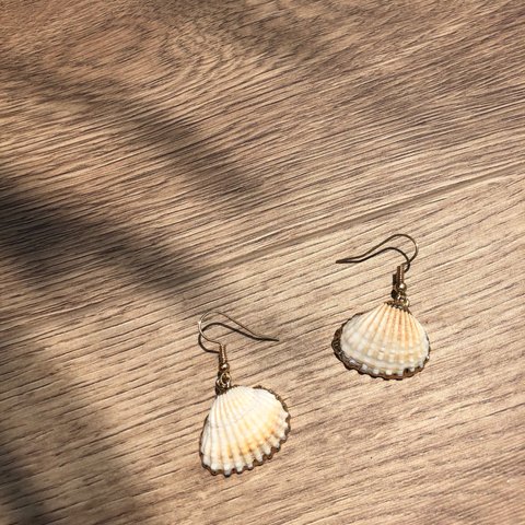 Real Sea Shells Earrings リアルシェルピアス