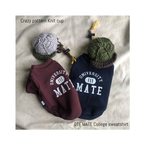 フレブルMサイズ　MATE university マテ カレッジ　スウェット　半袖　犬服　バーガンディ