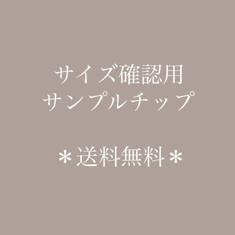 ＊送料無料＊サイズ確認用サンプルチップ