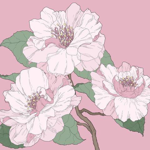 Peony print postcard - #３ 牡丹のアートはがき #３