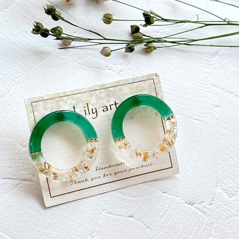 シルバー★green＆orangeドライフラワーring型ピアス