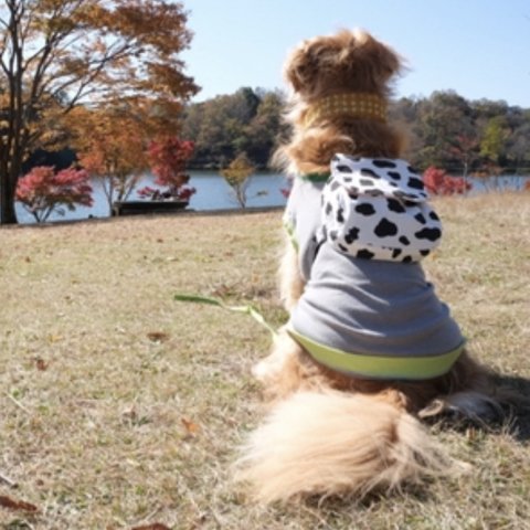 『自分で運べるよ！』ワンワンリュック大型犬用　牛さん