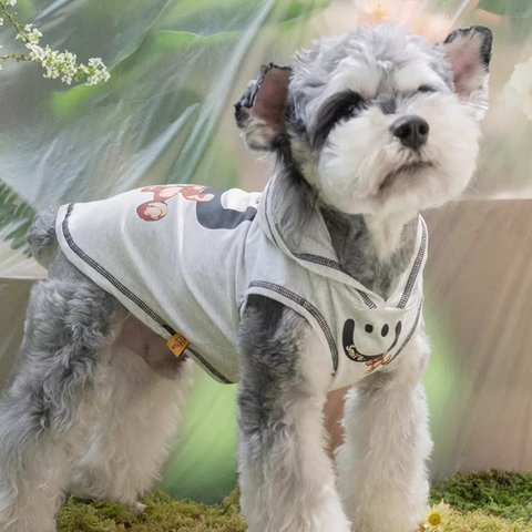 犬服ペット背中の心地よいフード付きシャツ夏の薄手日焼け防止小型犬、猫衣服、シュナウザー