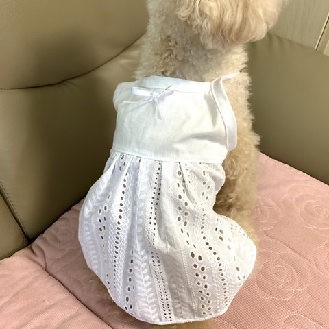 犬服　オーダー　清楚系　刺繍レース　キャミソール　ワンピース