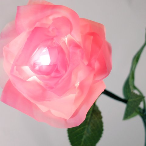 癒しのバラの間接照明-ローズピンク