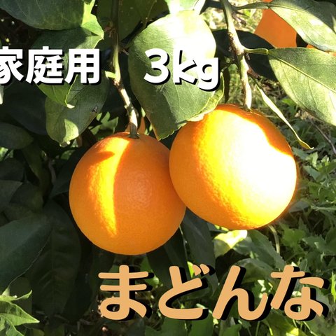 【予約注文】愛媛県産愛果28号（紅まどんな）家庭用2kg