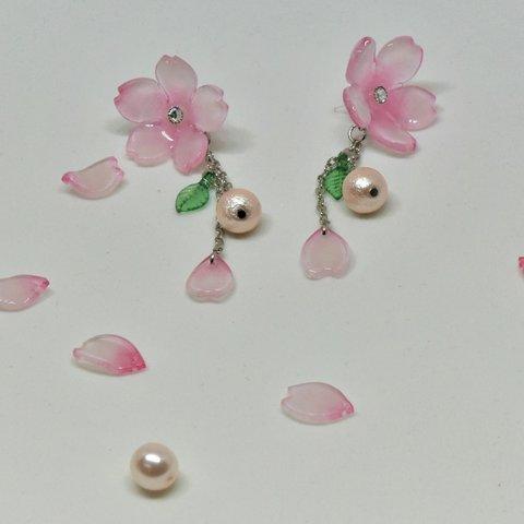 🌸桜咲く 桜のピアス②🌸