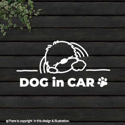 DOG IN CAR/ マルチーズ/A【カッティングステッカー】手書きわんこ