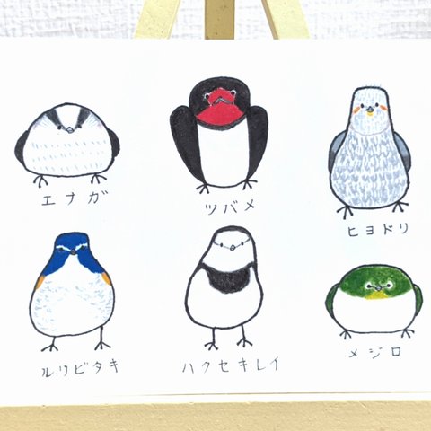 日本の野鳥づくし6羽A-2 同柄3枚組ポストカード【変更可能】