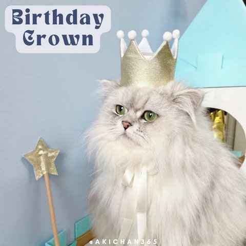 ミニ バースデークラウン wg×w mぽ《100日、記念日、誕生日、ハーフバースデー、ニューボーン、1歳、ペット、あご紐、犬用、猫用》