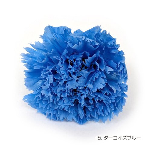 【即納】 フリルカーネーション 9輪 ターコイズブルー プリザーブドフラワー 花材 花 プリザーブド花材 ハンドメイド パーツ アクセサリー 資材 青