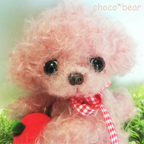 choco*bear 泣き虫 トイプー　プラダモヘアぬいぐるみ  手のひらに磁石 　