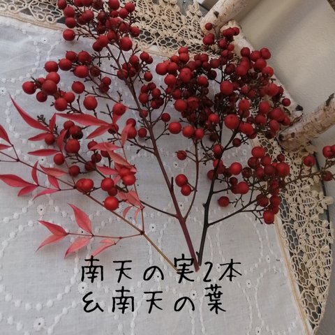【おひとり様一点限り】南天の実と南天の葉　ドライフラワー　クリスマス正月花材　インテリア