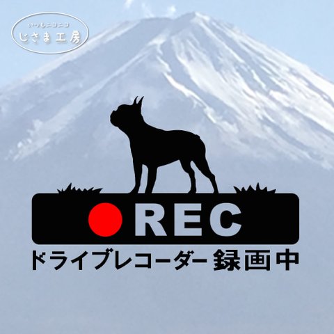 ボストンテリアの黒色シルエットステッカー煽り運転ドライブレコーダー録画中‼