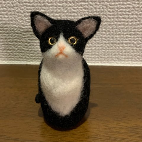 NEKODARUMA（ハチワレ）