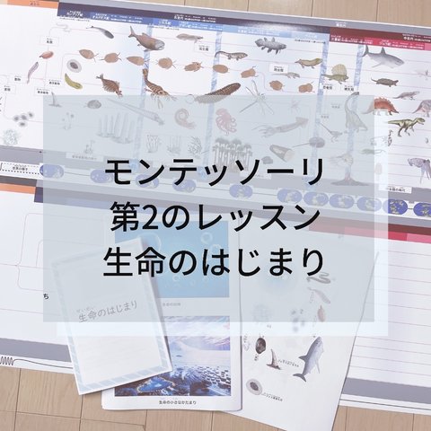 ⭐︎モンテッソーリ⭐︎ 第2のレッスン 生命のはじまり タイムライン