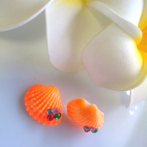 orange.*･ﾟshell pierced 