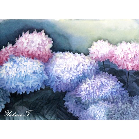 【原画】6月の紫陽花（水彩画/額無し）★花 絵画インテリア プレゼントに